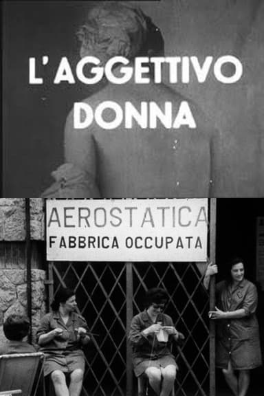 The Adjective Woman poster