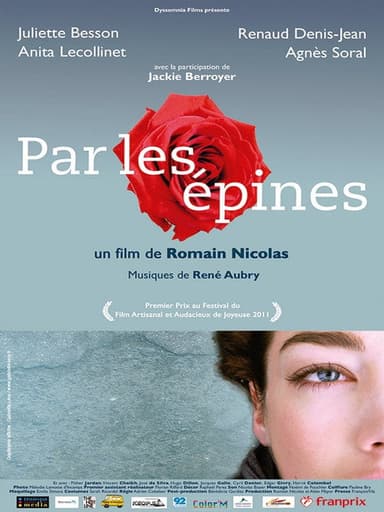 Par les épines - Histoire de quatre printemps poster