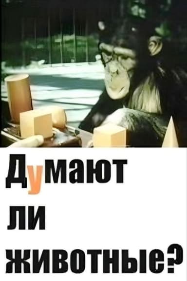 Do Animals Think? poster