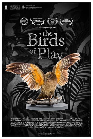 The Birds of Play poster