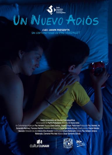 A New Goodbye poster