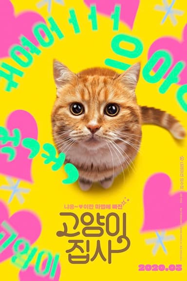Our Cat poster