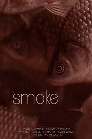 Smoke poster