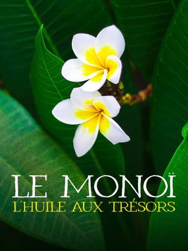 Le monoï : l'huile aux trésors poster