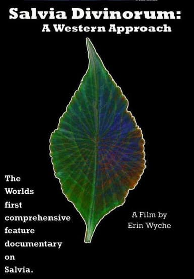 Salvia Divinorum: A Western Approach poster