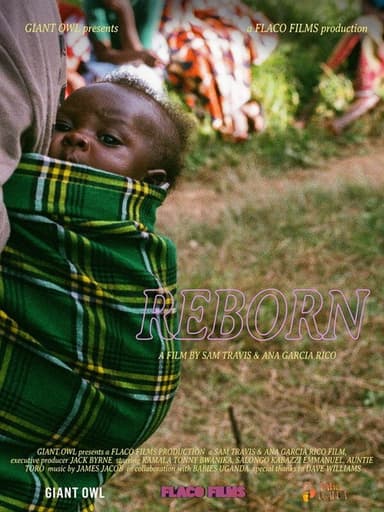 Reborn poster