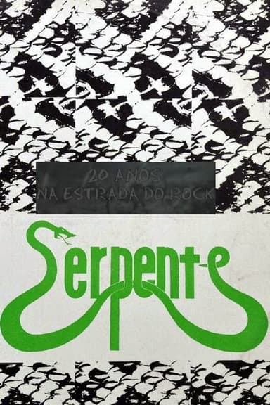 20 Anos na Estrada do Rock poster