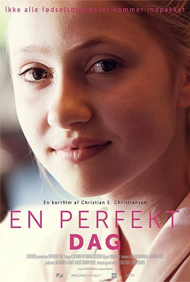 En perfekt dag poster