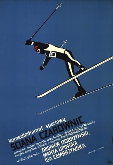 The Wall of Witches poster