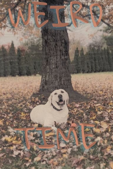 Weird Time poster
