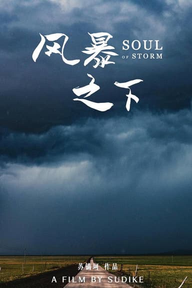 风暴之下 poster