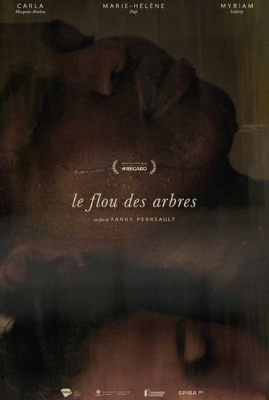 The Blurring Of Trees poster