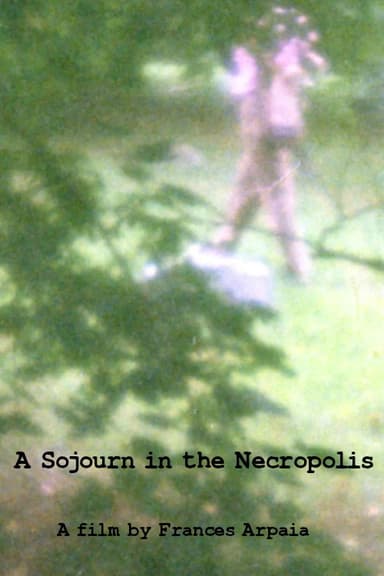 A Sojourn in the Necropolis poster