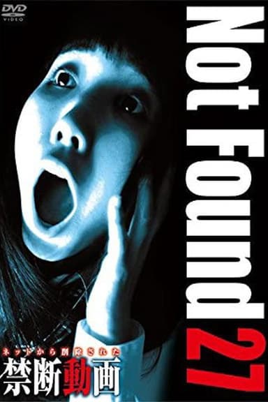 Not Found 27 poster