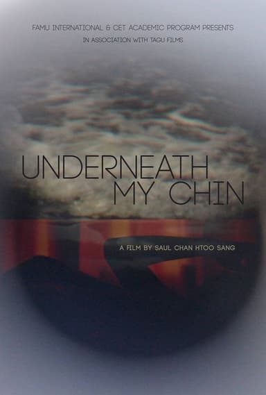 Underneath My Chin poster