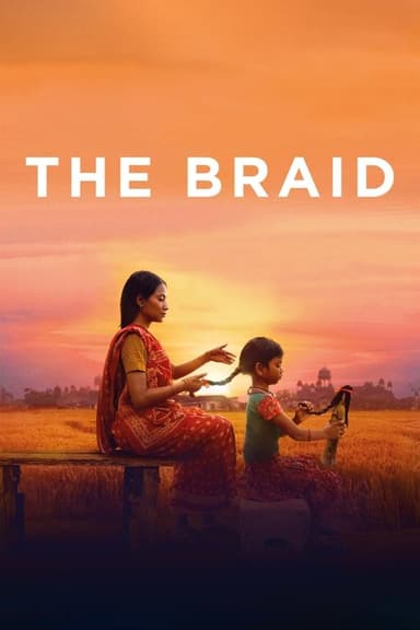 The Braid poster