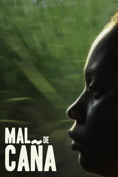 Sugar Cane Malice poster