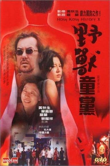Hong Kong History X poster