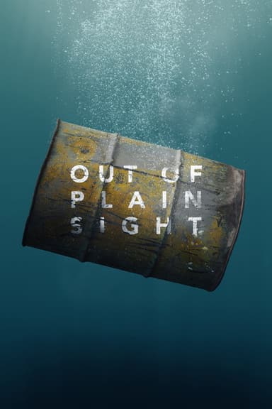 Out of Plain Sight poster