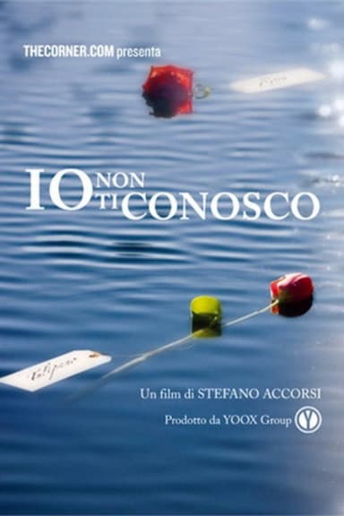 Io non ti conosco poster