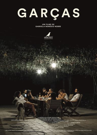 Egrets poster