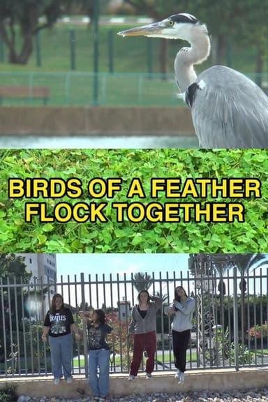 Birds of a Feather Flock Together poster