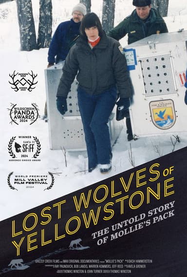 Lost Wolves of Yellowstone poster