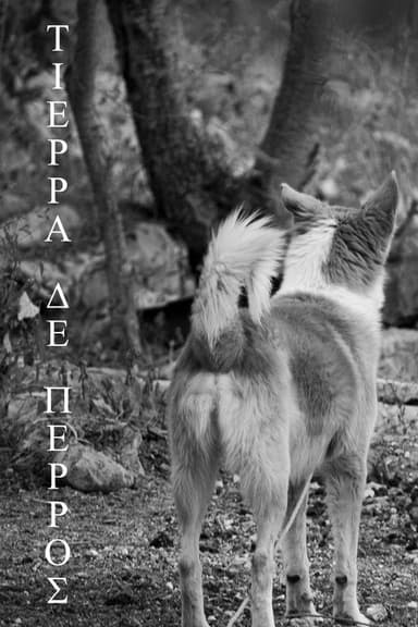 Tierra de Perros poster