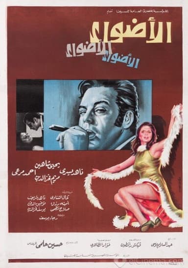 The Lights poster