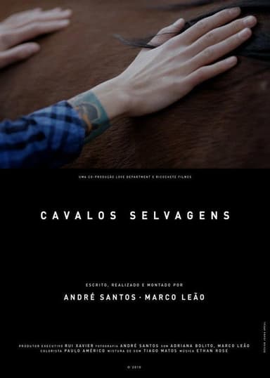 Wild Horses poster