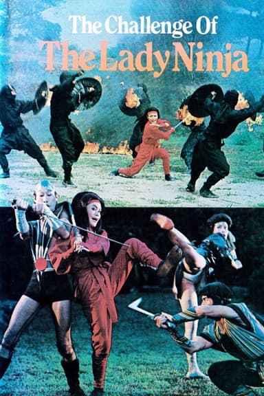 The Challenge of the Lady Ninja poster