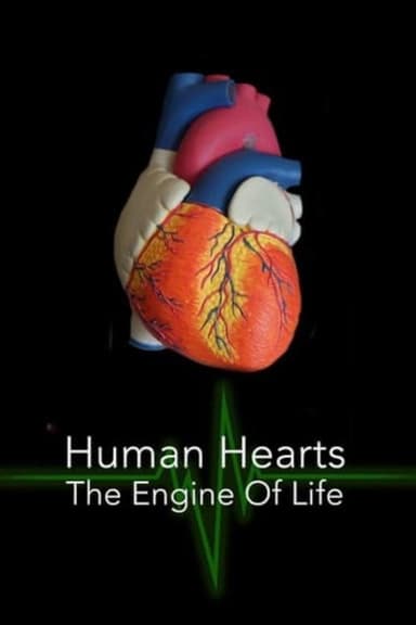 Human Hearts: The Engine of Life poster