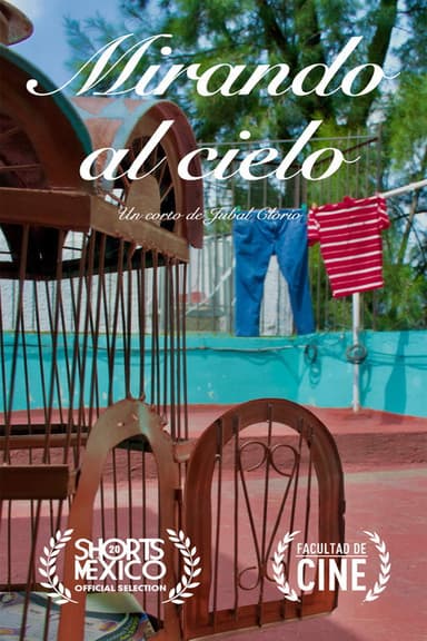 Mirando al Cielo poster