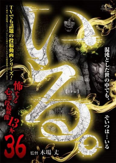 「Iru.」~ Kowasugiru Tōkō Eizō 13-hon ~ Vol.36 poster
