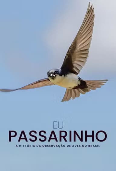 Eu Passarinho poster