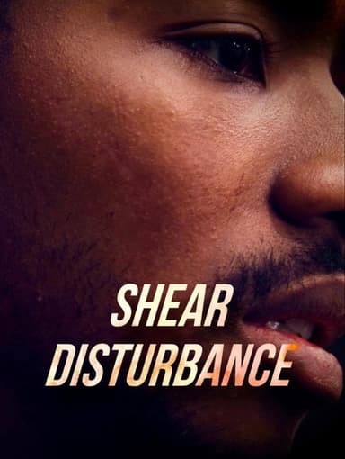 Shear Disturbance poster