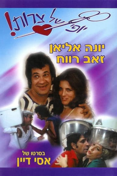 Beautiful Troubles poster