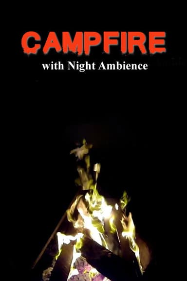 Campfire with Night Ambience poster