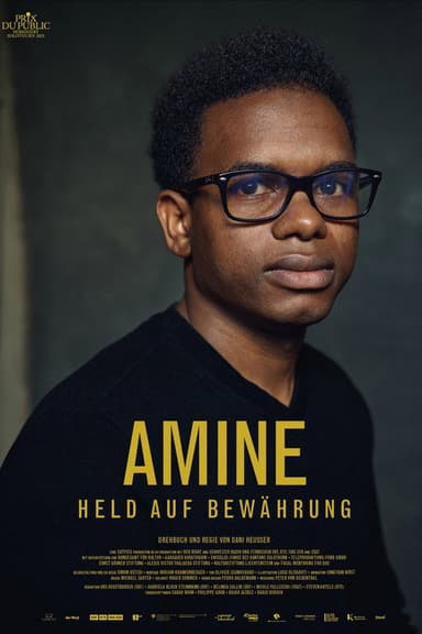 Amine – Hero on Probation poster