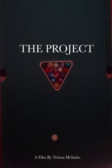 The Project poster