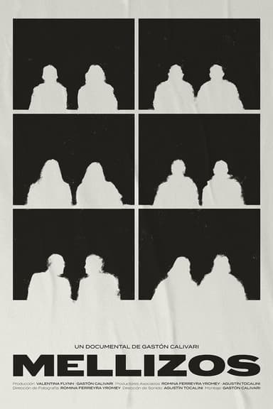 Mellizos poster