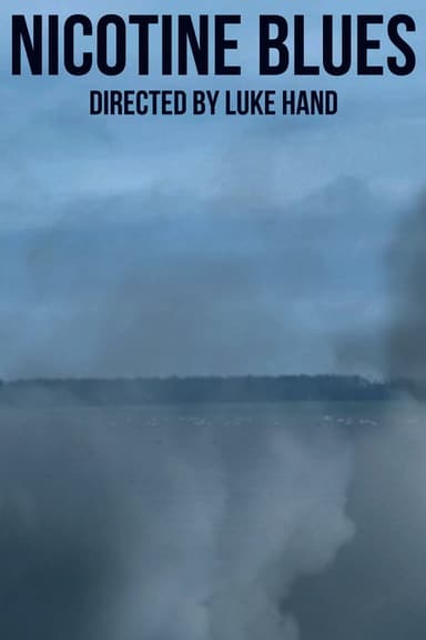 Nicotine Blues poster