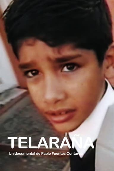 Telaraña poster