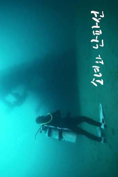 A Girl and a Shipwreck poster
