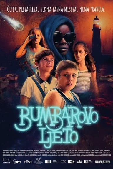 Bumblebee's Summer poster