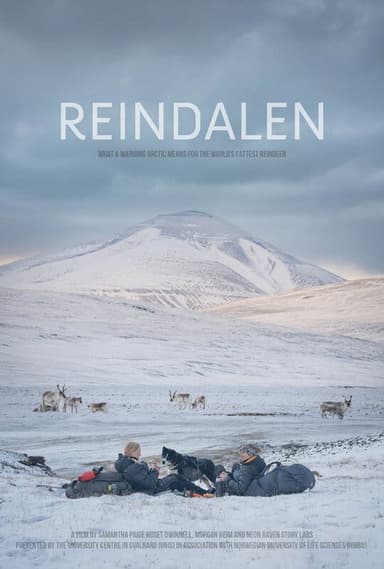 Reindalen poster