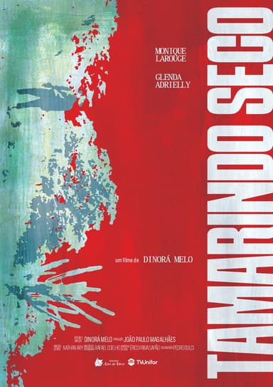 Tamarindo Seco poster