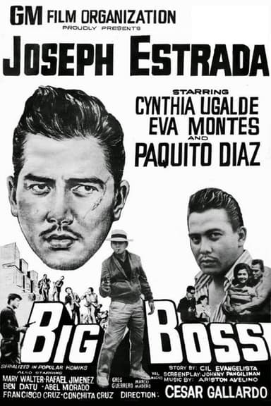 Big Boss poster