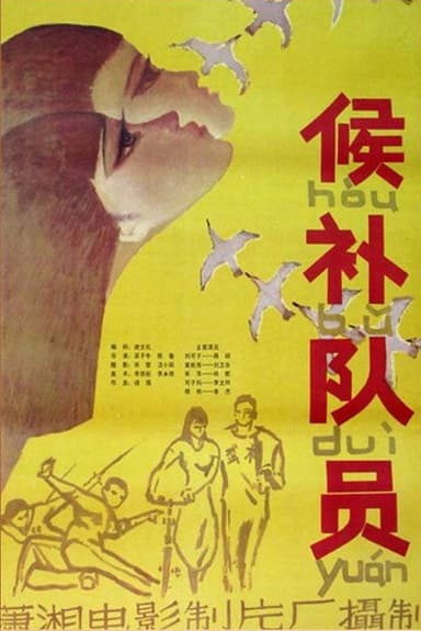 The Candidate poster