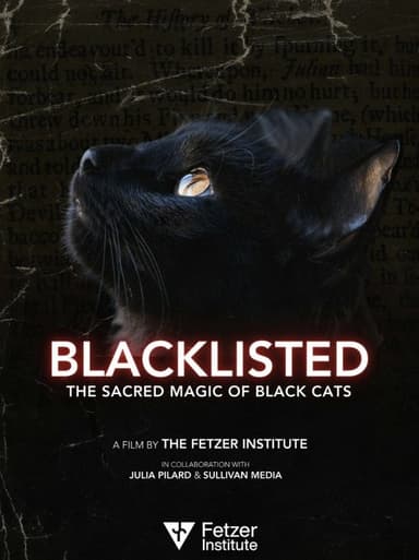 Blacklisted poster